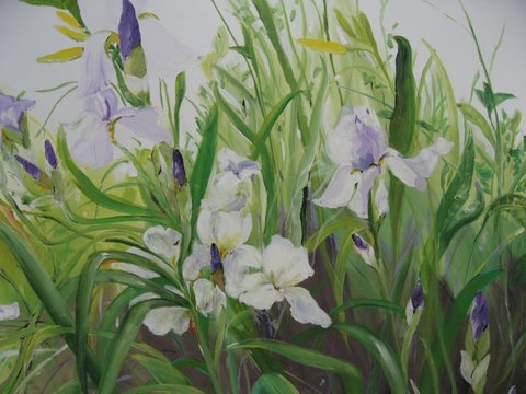 KarolaSteinbrecher Iris fields, 48x48, acrylic, $4000